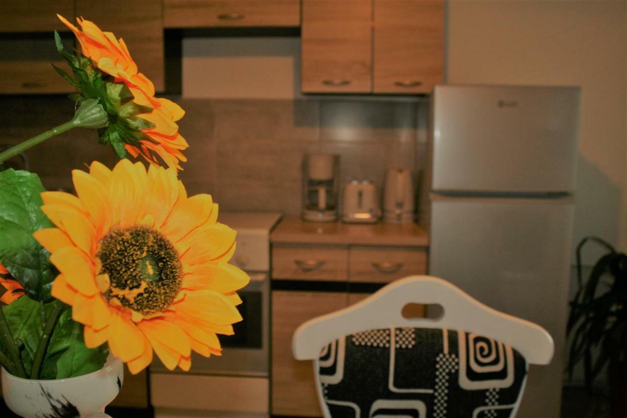 Casa Peterfi - Apartment With 3 Bedrooms And Spacious Living Room Targu Mures Luaran gambar